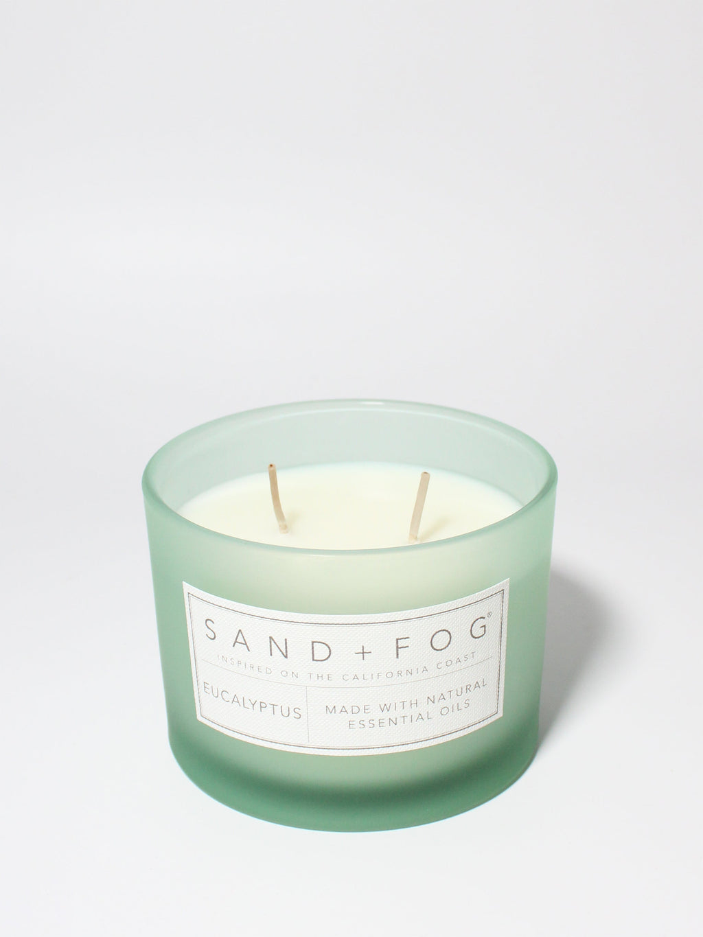 Aromatic Eucalyptus 12 oz scented candle