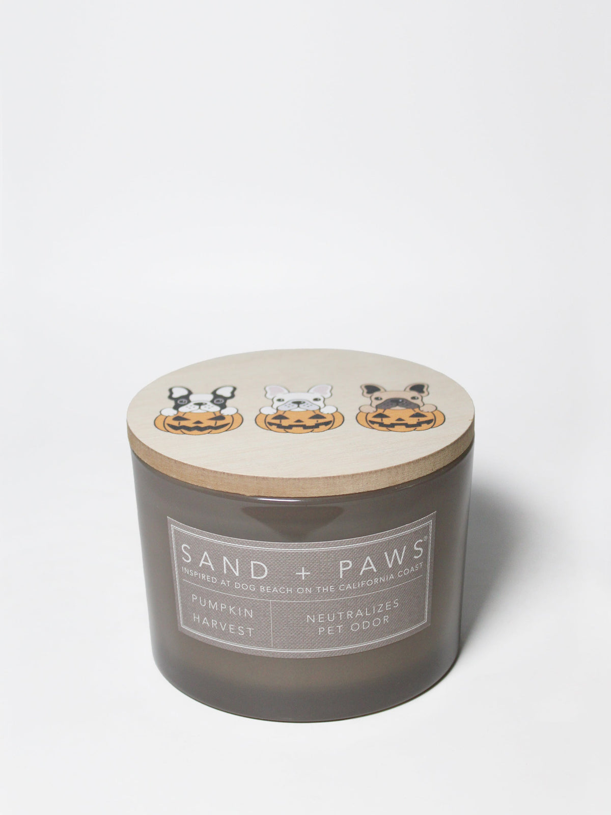Aromatic Sand + Paws Pumpkin Harvest 12 oz scented candle