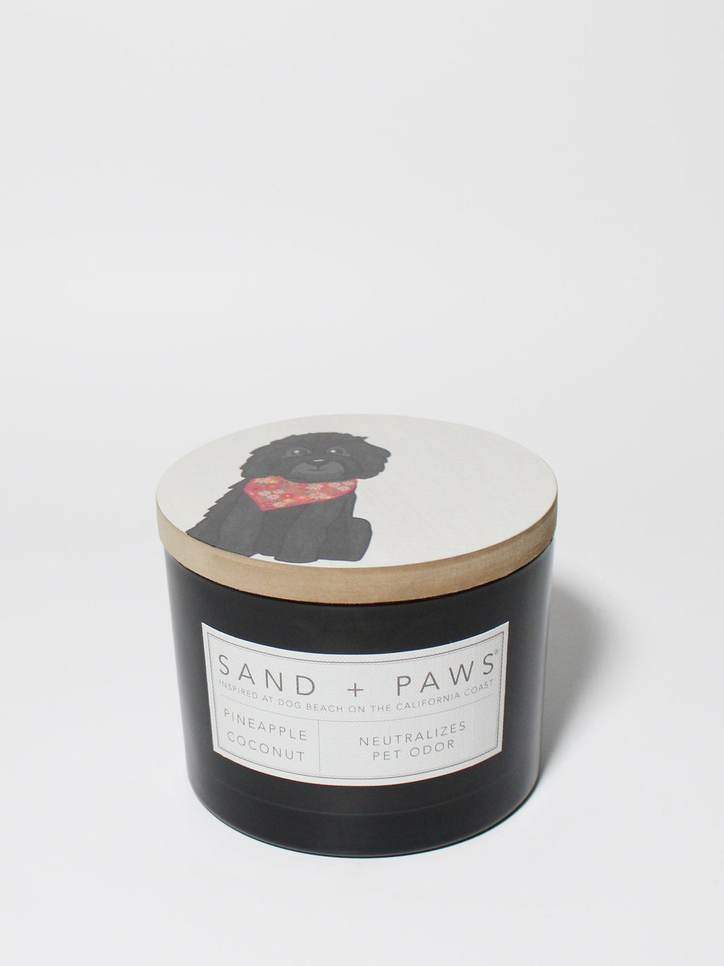 Aromatic Sand + Paws Pineapple Coconut 12 oz scented candle
