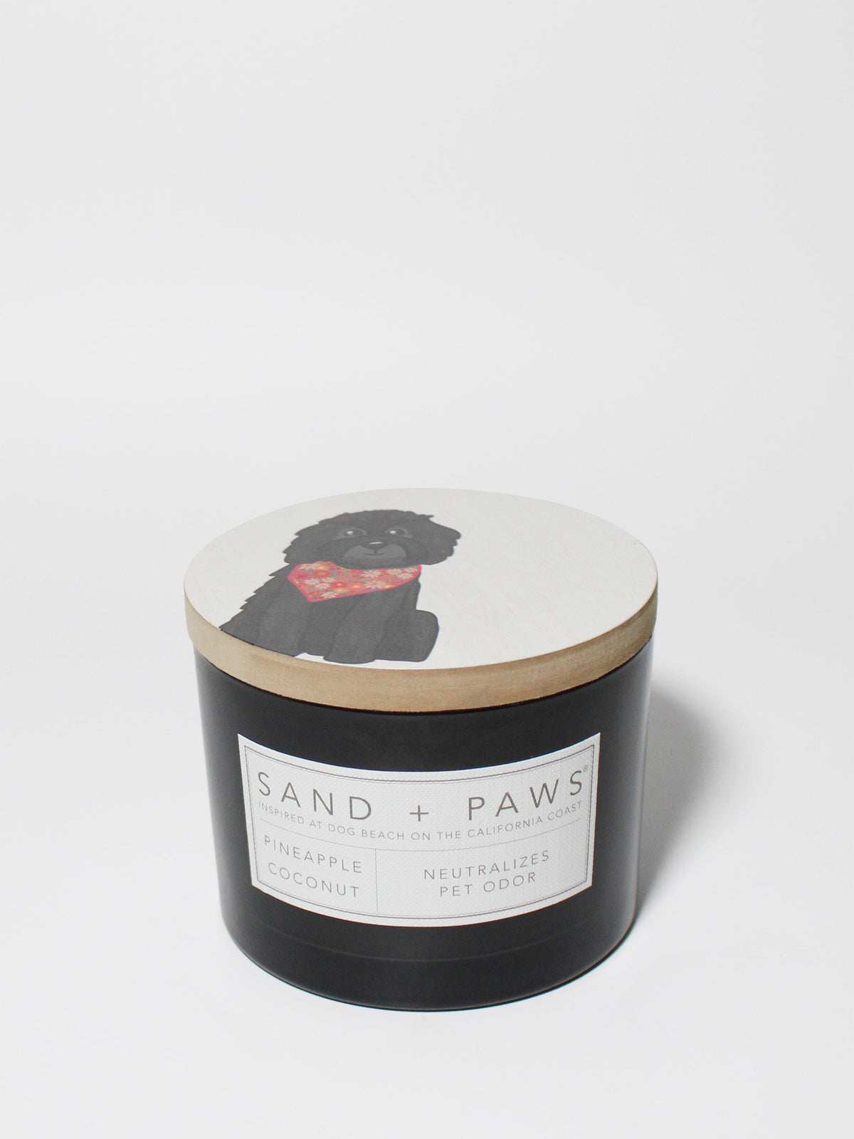 Aromatic Sand + Paws Pineapple Coconut 12 oz scented candle