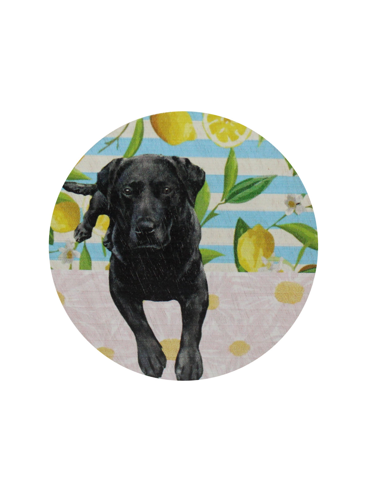 Aromatic Sand + Paws Tropical Citrus 12 oz scented candle
