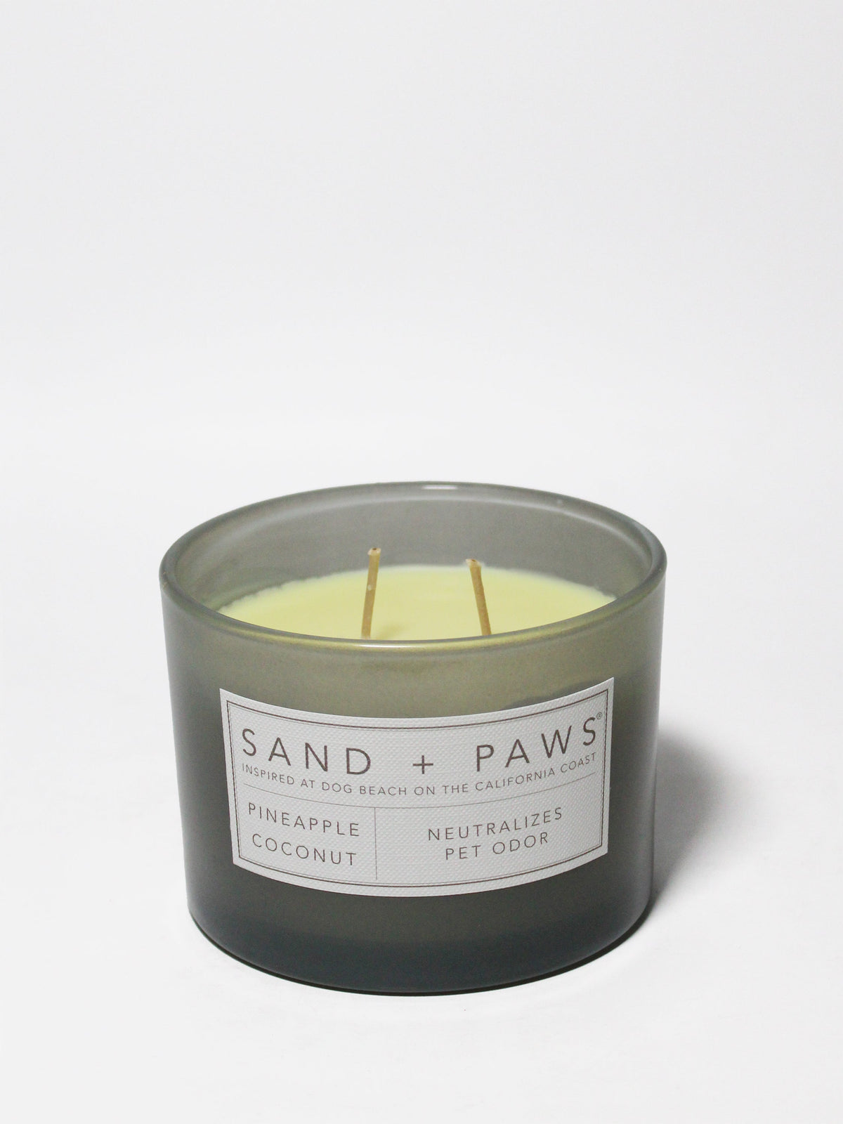 Aromatic Sand + Paws Pineapple Coconut 12 oz scented candle