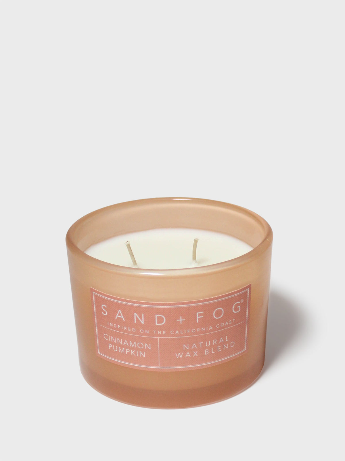 Aromatic Cinnamon Pumpkin 12 oz scented candle