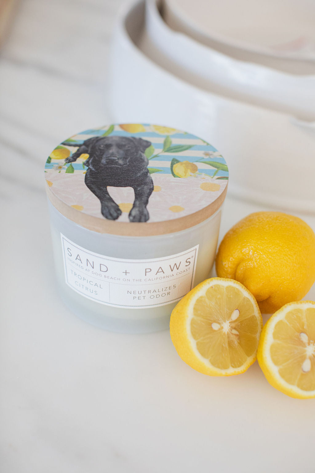 Aromatic Sand + Paws Tropical Citrus 12 oz scented candle