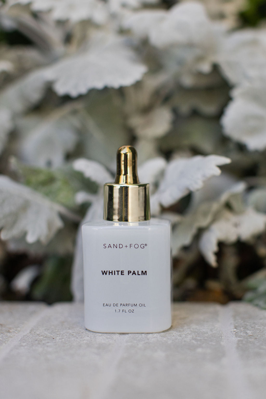 Luxe White Palm 50 ml Perfume Oil Dropper