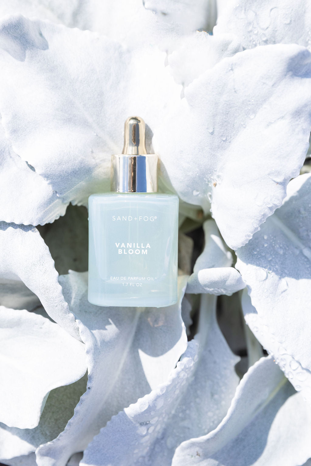 Luxe Vanilla Bloom 50 ml Perfume Oil Dropper