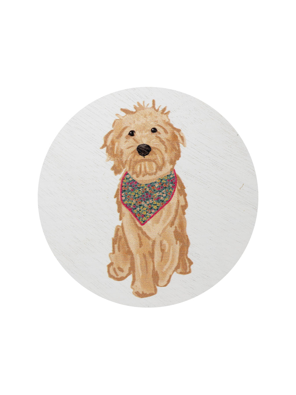 Aromatic Sand + Paws Laundry Day 12 oz scented candle