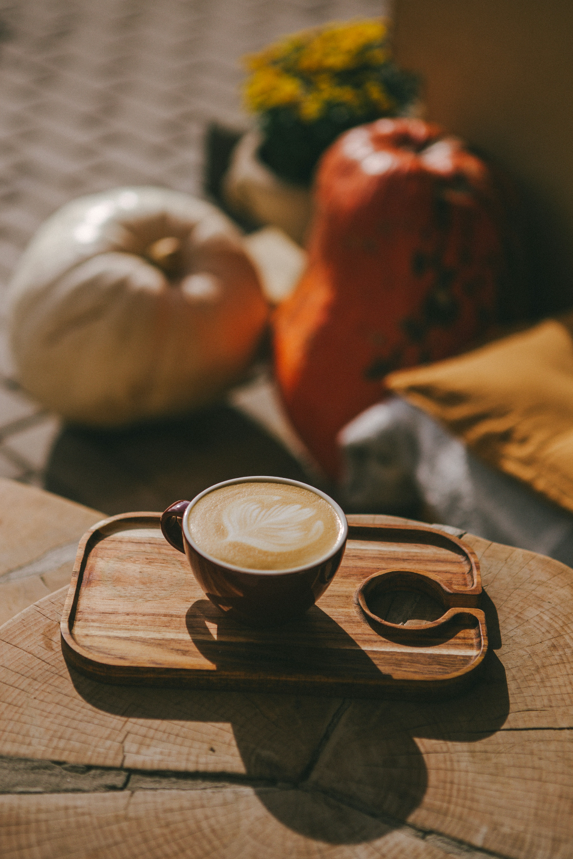 Aromatic Sand + Paws Pumpkin Soy Latte 12 oz scented candle