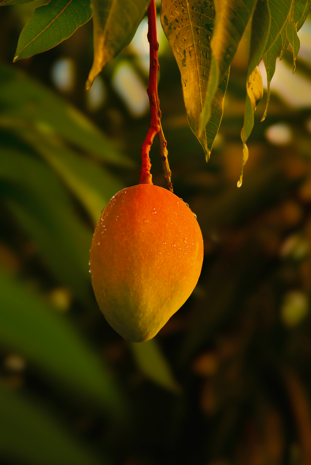 Powerful Guava Mango 25.4 oz All-Purpose Spray Cleaner