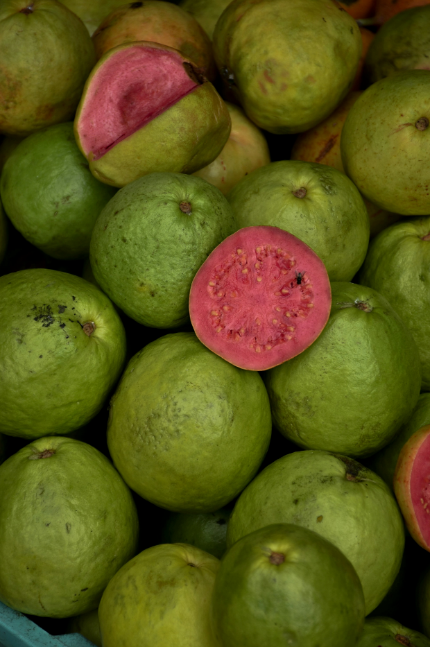 Aromatic Paradise Guava 12 oz scented candle