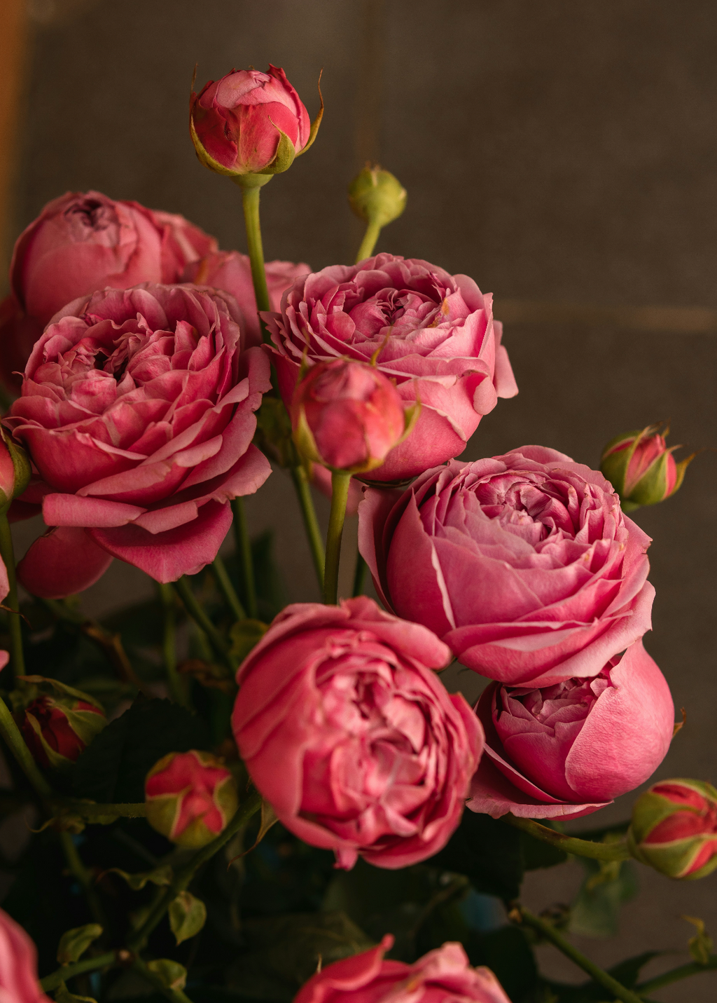 Luxe Rose & Peony 50 ml Perfume Oil Dropper