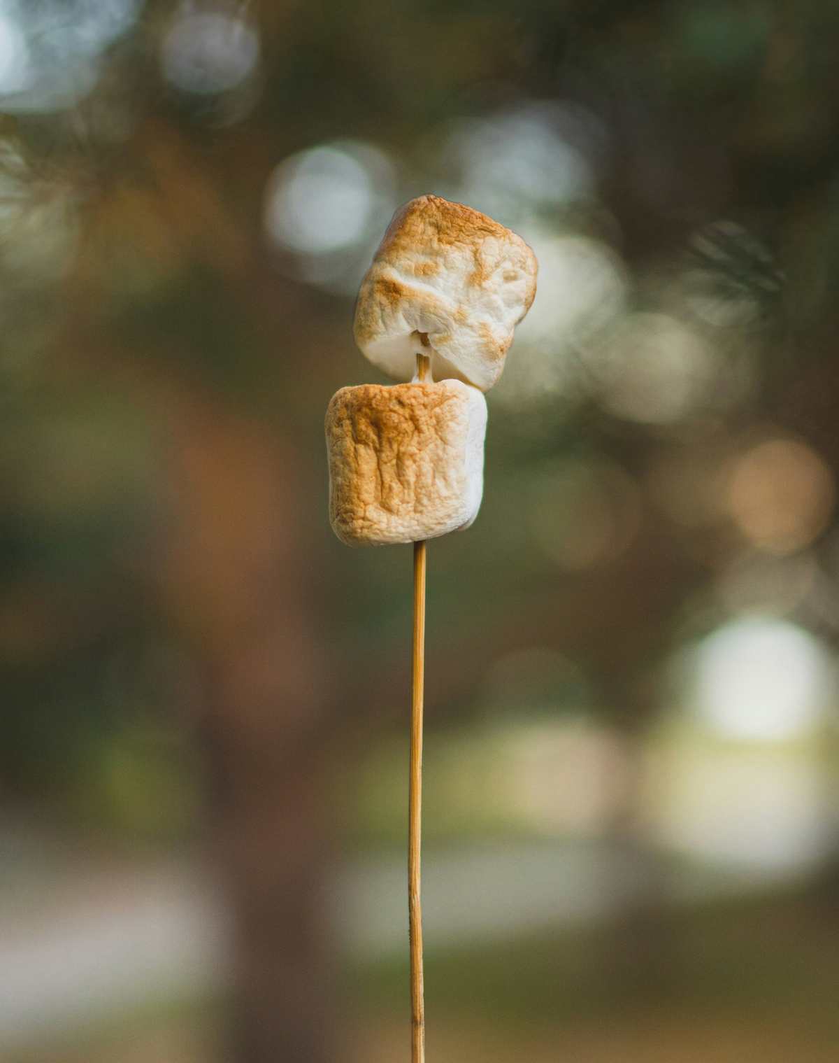 Luxe Toasted Marshmallow 50ml Perfume Oil Dropper