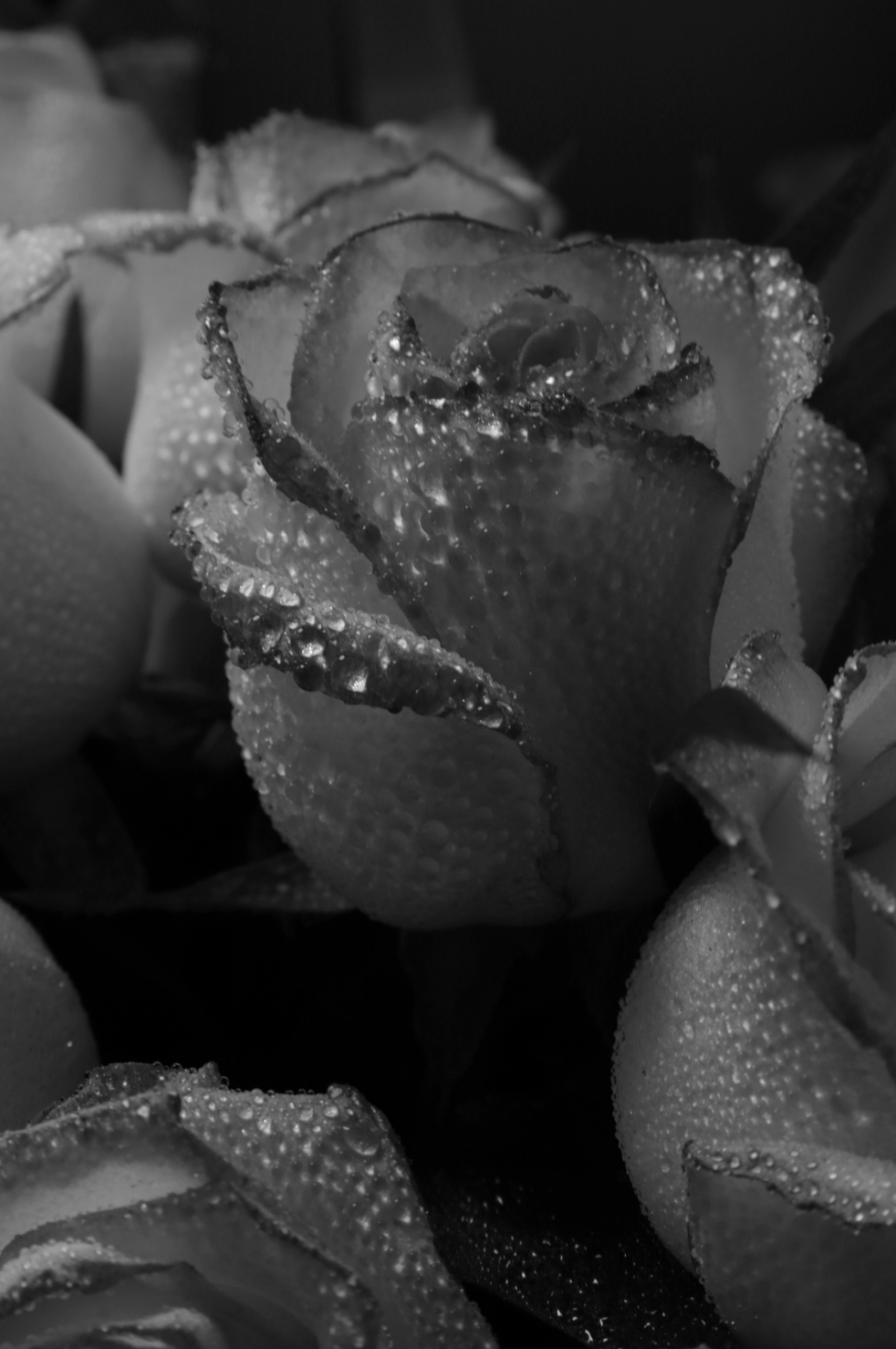 Luxe Rose Dew 50ml Perfume Oil Dropper