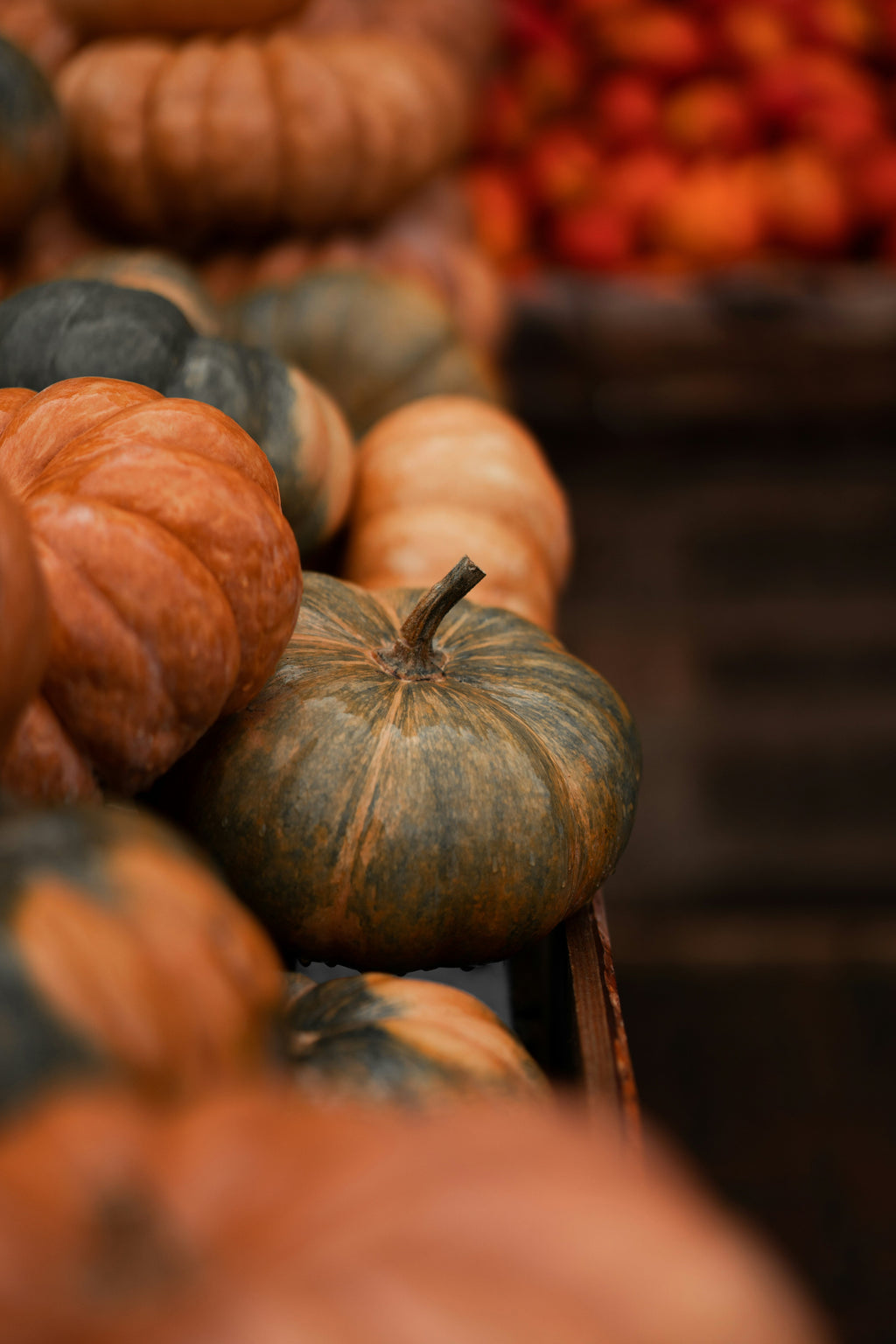 Aromatic Cinnamon Pumpkin 12 oz scented candle